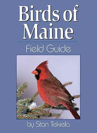 birds maine